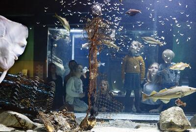 De onderwaterwereld met de Noordzeeaquariums in het nNationaal Visserijmuseum Navigo. 