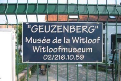 Witloofmuseum