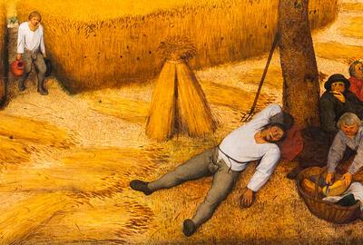 Bruegel, A Poetic  Experience. An innovative world