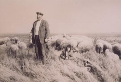 Herders in de Zwinstreek