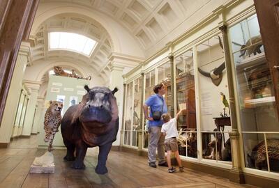 Musée d'Histoire naturelle & Vivarium