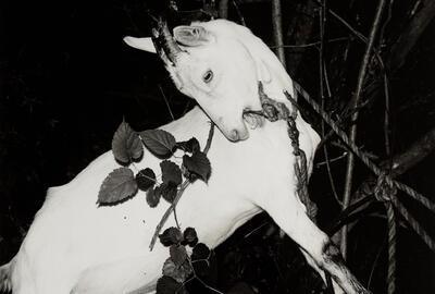 Issei Suda, Fushi Kaden, 1971-1977