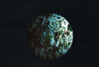 OVERLAP: the No Man's Land between Art & Science 