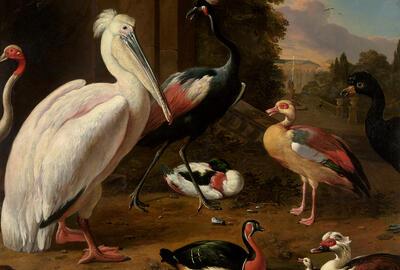 Melchior d’Hondecoeter, Watervogels, ca. 1635, olieverf op doek, gouden eeuw,