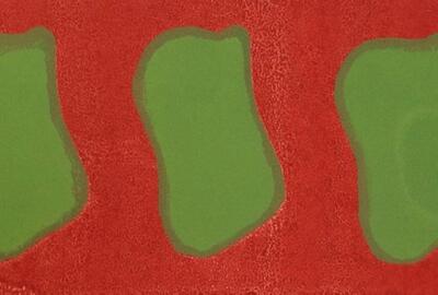 Claude Viallat - Monoprints