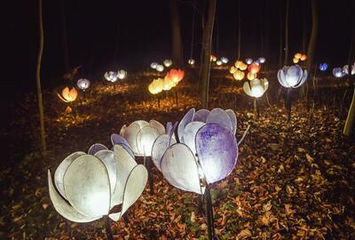 Lichtfestival WinterFloridylle