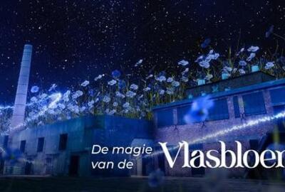 De magie van de vlasbloem