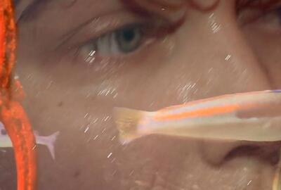 River of Rebirth - Laure Prouvost, Four for See Beauties, 2022