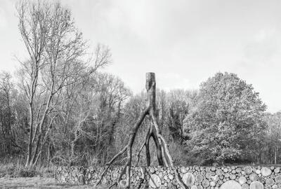 Paul D'Haese , Uit de serie Replica Falsifica 