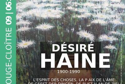 Désiré Haine – De geest der dingen, de rust van de ziel 