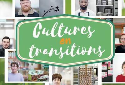Culturen in transitie