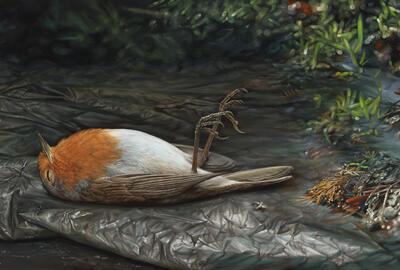 Gedeelde woede in Kapel Rozenkrans