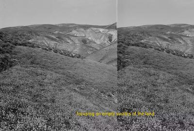 Alaa Abu Asad, “Wild Plants of Palestine”, 2018