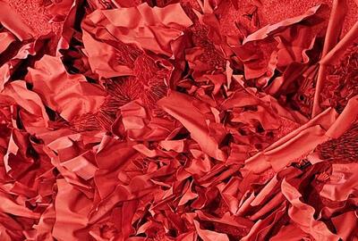 Jiana Kim, Red inside Red 25-33, 2025