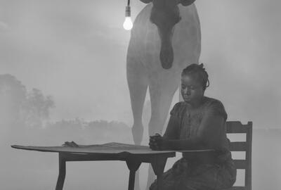 Nick Brandt, Kuda and Sky II, Zimbabwe, 2020