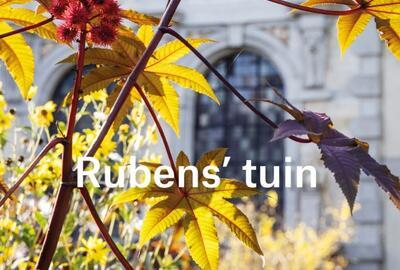 Rubens' tuin
