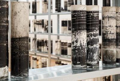 Elsa Paricio, Biblioteca Nacional, 2018–2025