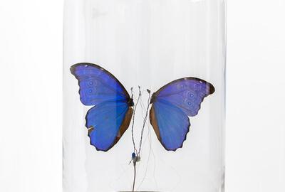 Vivien Roubaud - Temps suspendu 