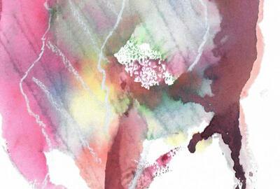 Dagdromen door Anders Bekeken