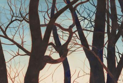 Het beeld geëvaporeerd geheugen