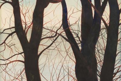 Het beeld: geëvaporeerd geheugen