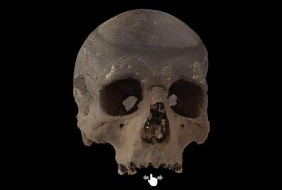 Oudste schedel van Vlaanderen