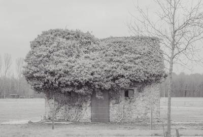 Erwin Acke, reeks State of transcience