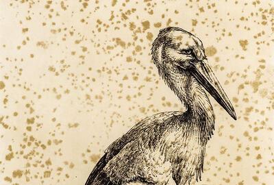 Albrecht Dürer, De ooievaar, 1517