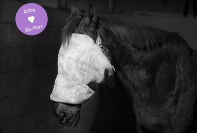 Tom Callemin - Double Reality