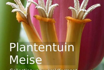Plantentuin Meise - Collecties van wereldformaat