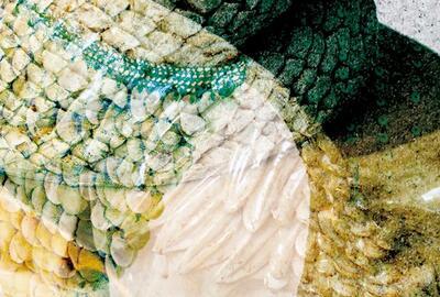 Prijs residentie jonge keramische creatie van de Fédération Wallonie-Bruxelles 