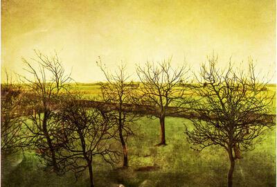 Valerius de Saedeleer, Boomgaard op het einde van de winter, 1908