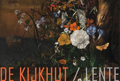 De Kijkhut: Bloemen, vlinders, insecten, een hagedis en padden naast een poel