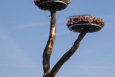 Koen Vanmechelen, Never Alone, Protected Paradise