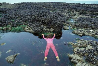 Barbara en Michael Leisgen, Pink Depression - Sterbendes Wasser, 1983