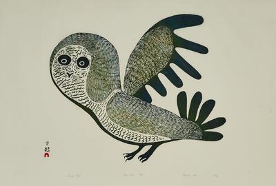 De uil die Canada veroverde - Inuitkunst in het Jubelparkmuseum